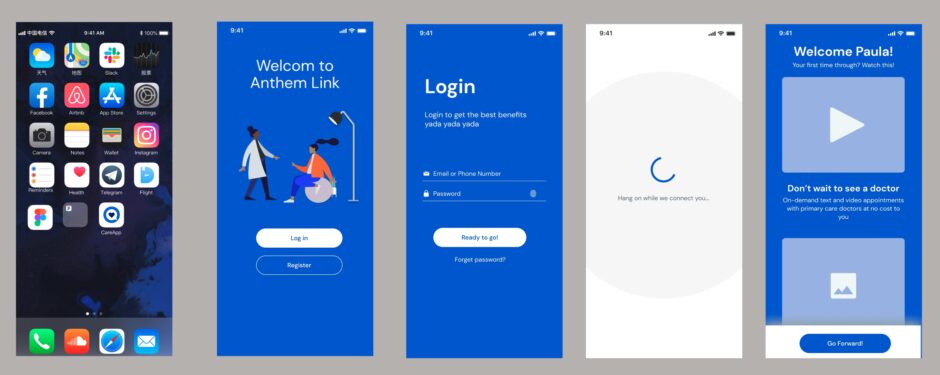 Anthem Link application screen 2
